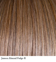 Jamoca Almond Fudge-R